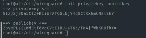 We will also need a public and private key. To display them I use tail