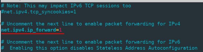 включение форвардинга пакетов для настройки VPN сервера