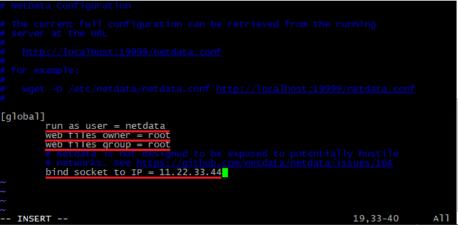Значения в файле конфигурации NetData