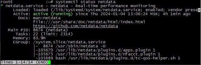 Работоспособность NetData