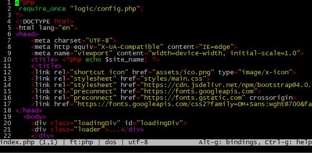 Micro – console text editor for Linux