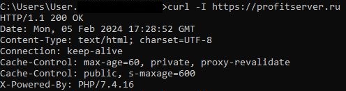 Проверка кода HTTP ответа сервера Curl