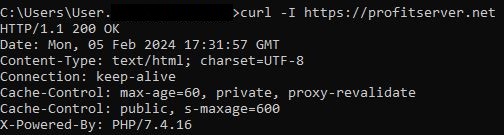 Checking the HTTP response code of the Curl server