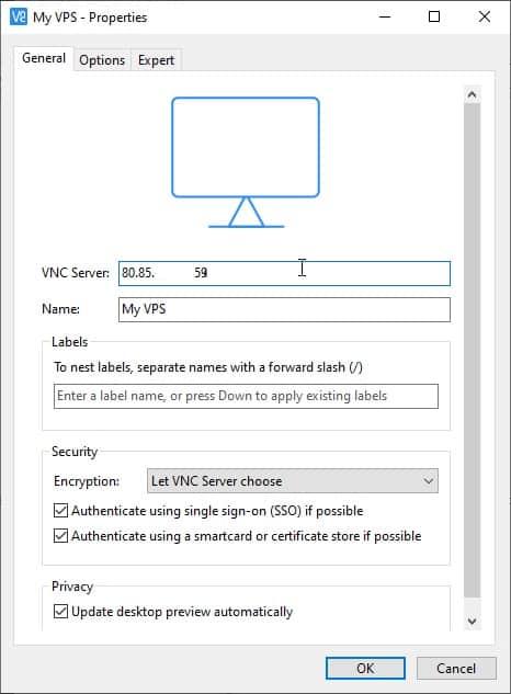 RealVNC client setup