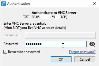 RealVNC client setup