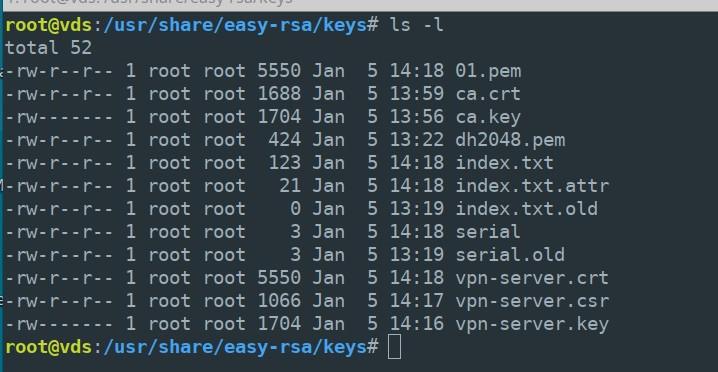 все файлы находятся в папке “/usr/share/easy-rsa/keys”