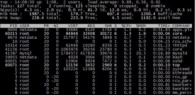 Server diagnostic using the top utility