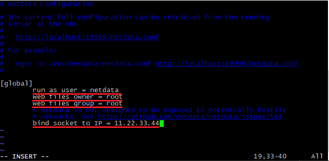 Values in the NetData configuration file