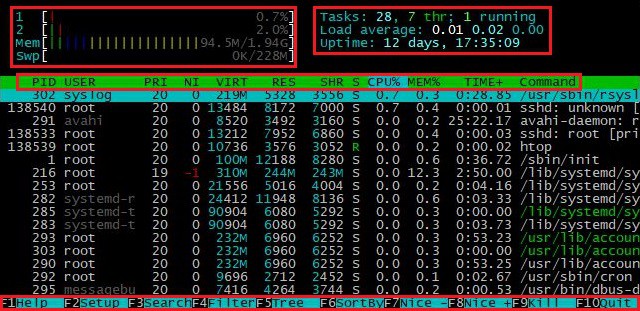 Анализ ресурсов сервера htop