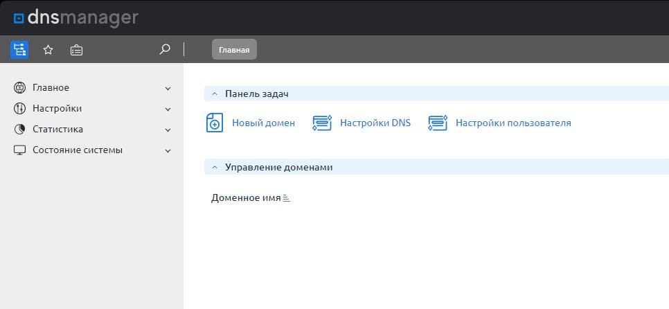 Панель DNS Manager