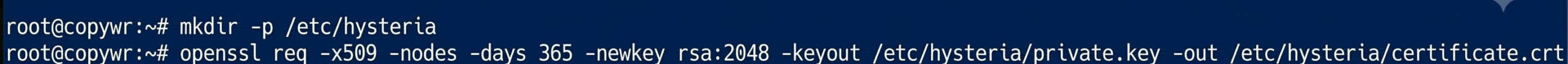 Creating the working directory and self-signed certificate. 
