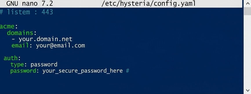  Setting up a Hysteria VPN server.