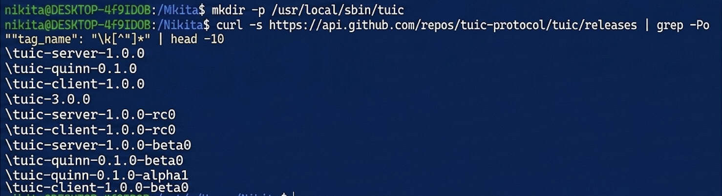 Checking available TUIC releases with curl