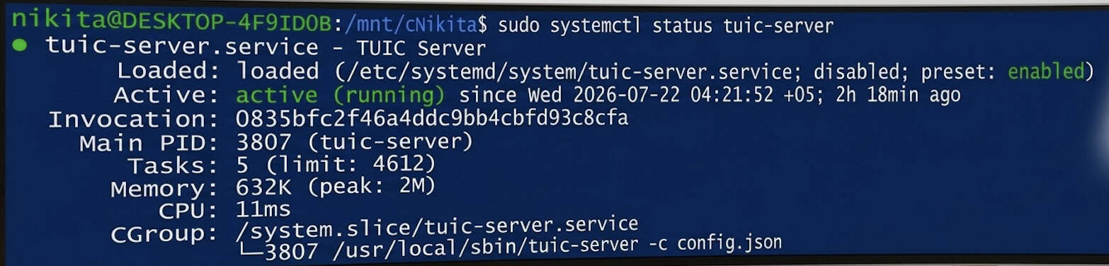 Open (or create) the system service file for the Tuic server in the nano text editor.