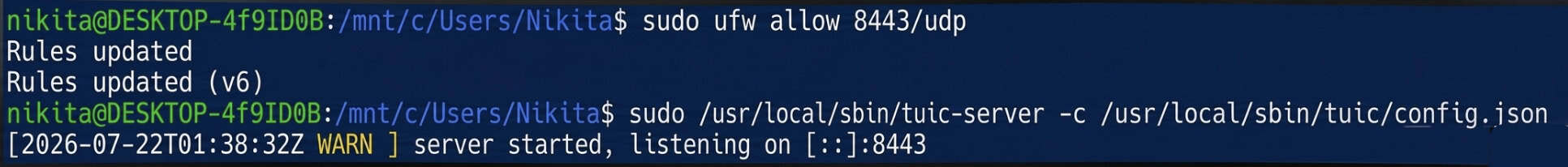Starting the Tuic server with the specified configuration file.