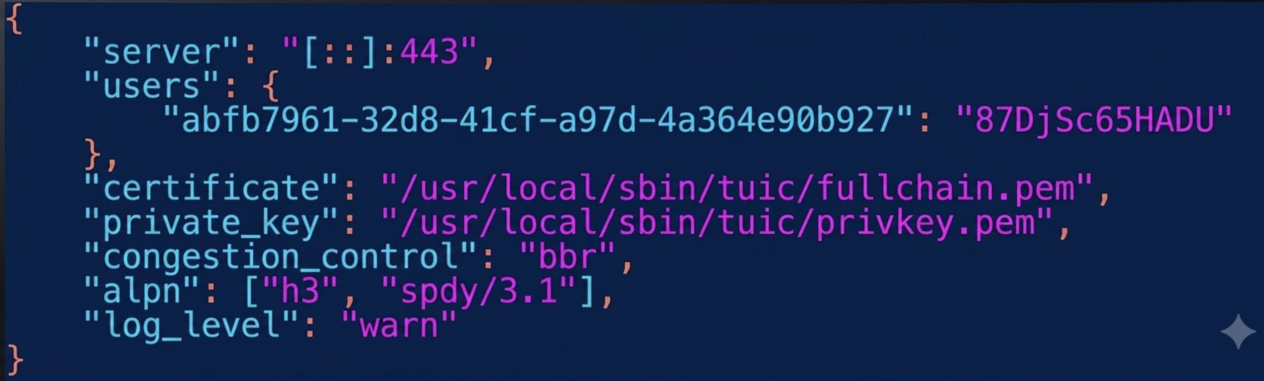 Create a configuration file for the Tuic server at /usr/local/sbin/tuic/config.json