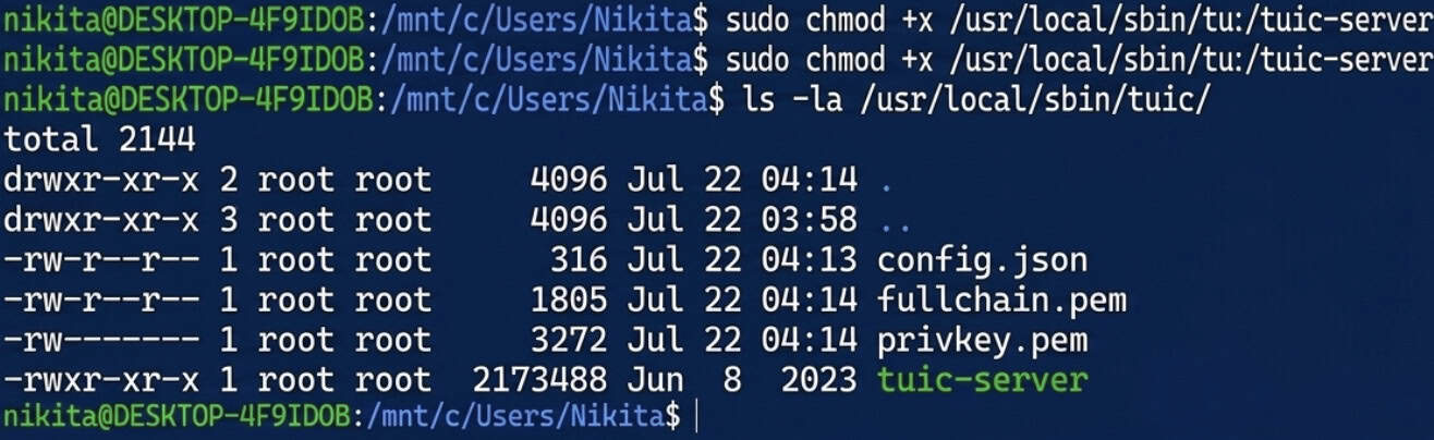 Download, install and test the Tuic server side.