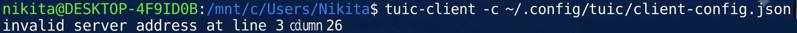 Let's create a version of the systemd service for Tuic and run it.