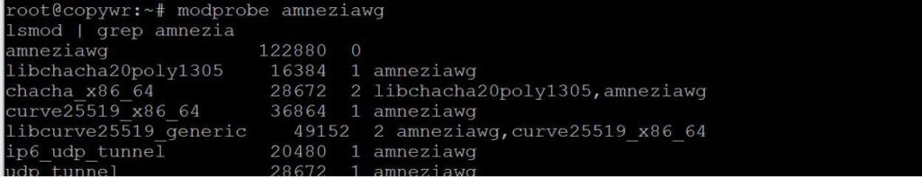 Modprobe amneziawg followed by lsmod, confirming the amneziawg module and its dependencies (curve25519, chacha20poly1305, etc.) are loaded.