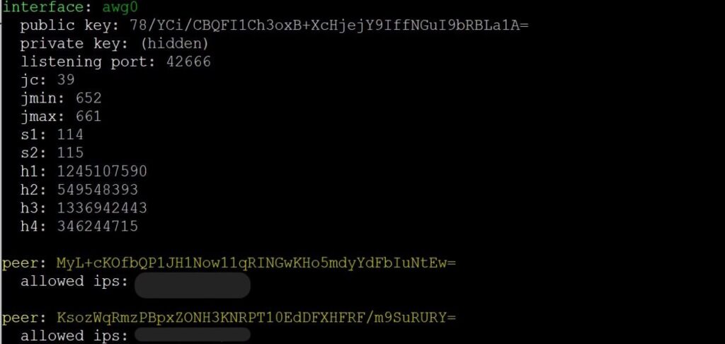 Awg show listing the awg0 interface's obfuscation parameters and its two configured peers (laptop and phone), each with its allowed IP.