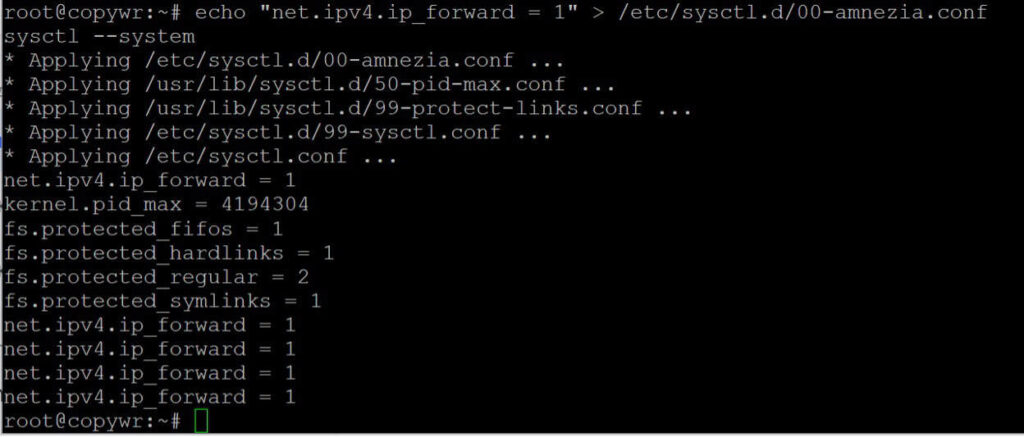 sysctl --system applying every sysctl.d config file, confirming net.ipv4.ip_forward = 1 is now active.
