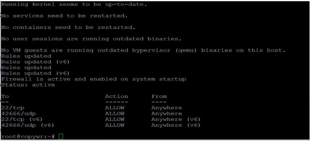 Ufw status confirming 22/tcp and 42666/udp are allowed for both IPv4 and IPv6, with the firewall active.