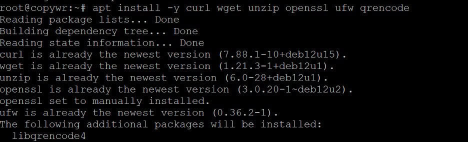 Installing required tools: curl, wget, unzip, openssl, ufw, qrencode.