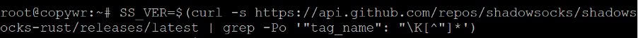 Umarnin da ake amfani da shi don saukar da archive na sakin shadowsocks-rust.