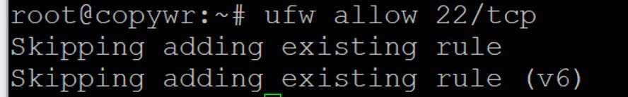 Allowing SSH (port 22/tcp) through UFW firewall.