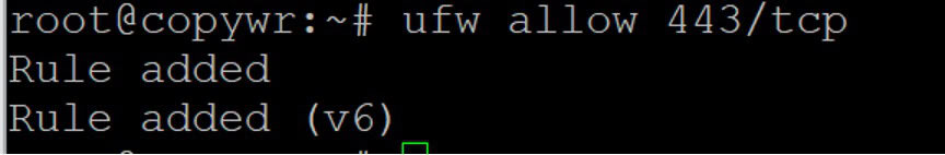 Allowing Xray proxy port (443/tcp) through UFW.