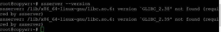 An shigar da sigar ssserver.