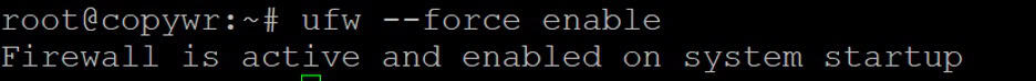 Enabling UFW firewall with --force option.