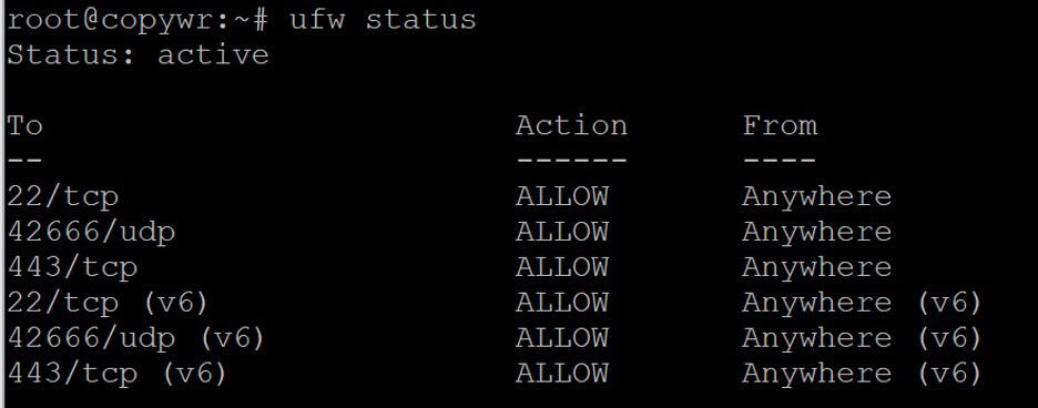 Ufw status output showing both rules (22 and 443) are active and allowed.