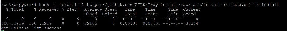 Installing Xray-core for VLESS Reality server setup. 