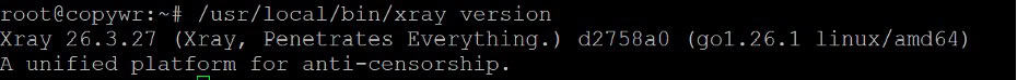 Checking installed Xray-core version with /usr/local/bin/xray version. 
