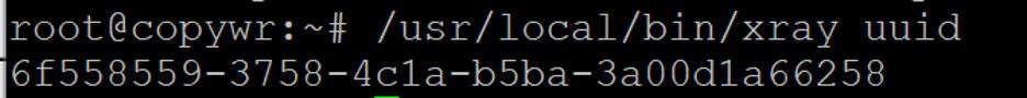 Generating a VLESS client UUID with xray uuid.