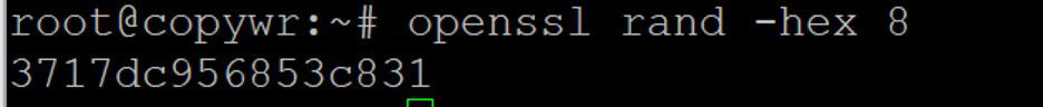 Generating a short ID with openssl rand -hex 8. 