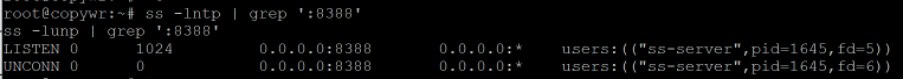 Sauraron uwar garken a tashar TCP da UDP 8388.