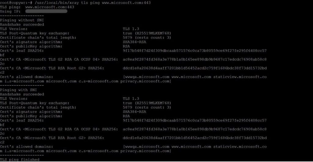 Testing the Reality target’s TLS handshake with xray tls ping.