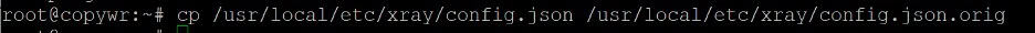 Editing Xray config.json for VLESS Reality server setup. 