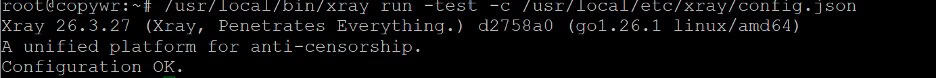 Validating the new config with xray run -test — no errors found.