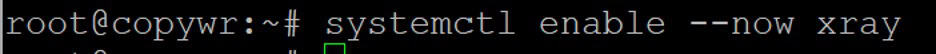 Enabling Xray to start automatically on system boot.