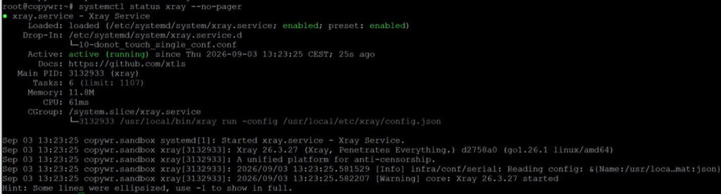 Systemctl status xray output — service is active (running).